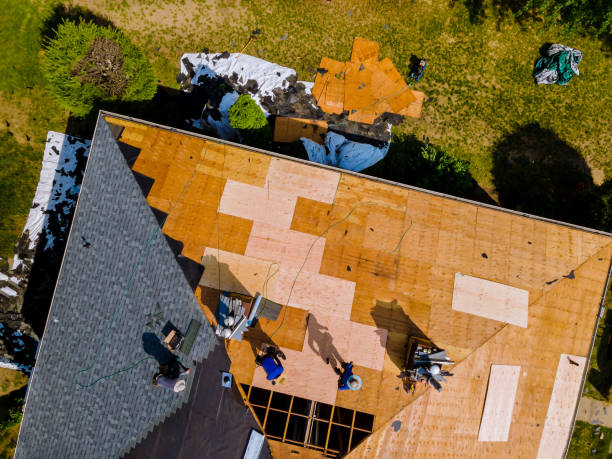 Best Roof Repair Services  in Hebron Estates, KY