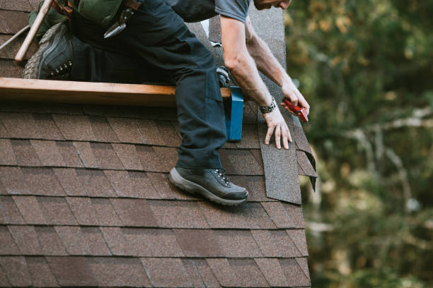 Best Roof Gutter Cleaning  in Hebron Estates, KY